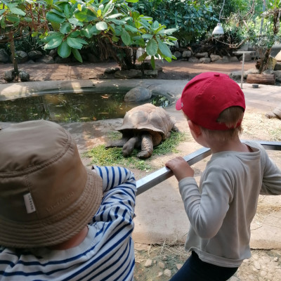 Besuch im Tierpark Besuch im Tierpark