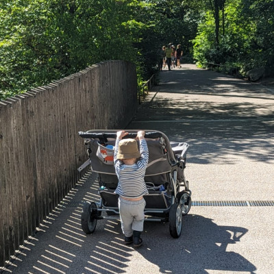 zusätzlicher Ausflugsbuggy zusätzlicher Ausflugsbuggy