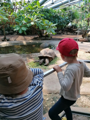 Tierparkbesuch